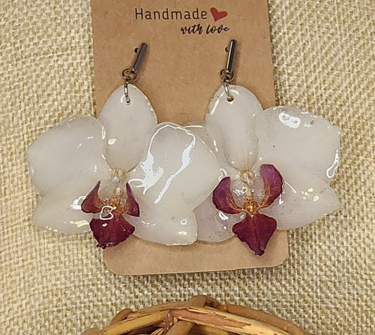 Pantallas de Orquídeas blancas