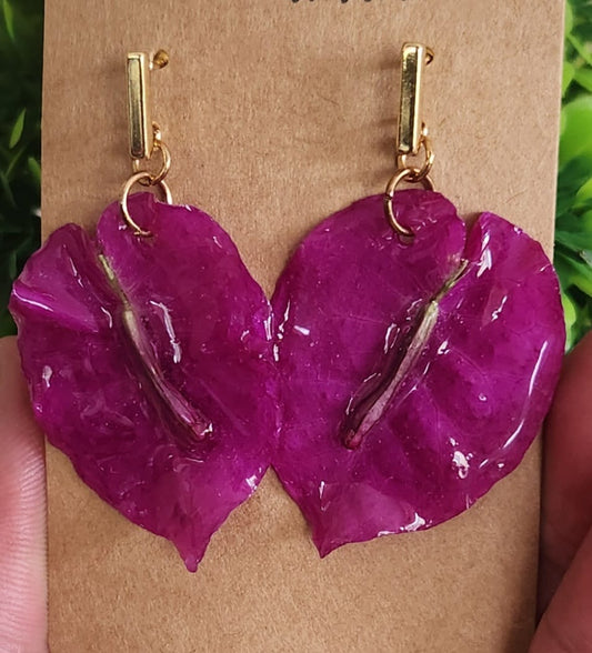 Pantalla de pétalos de Trinitarias violetas