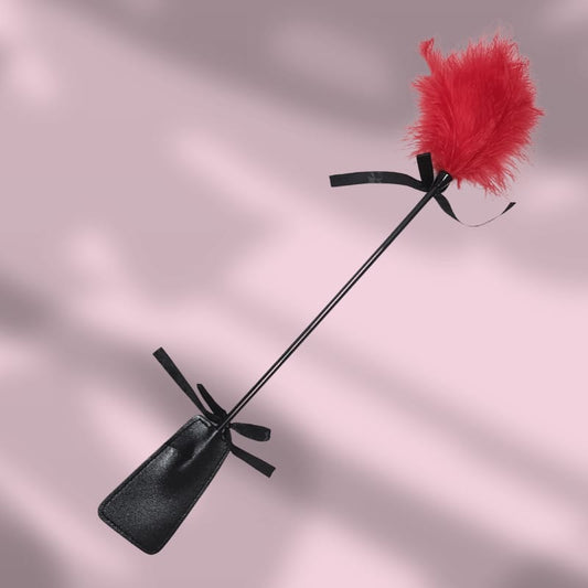 Paleta de cuero con plumas